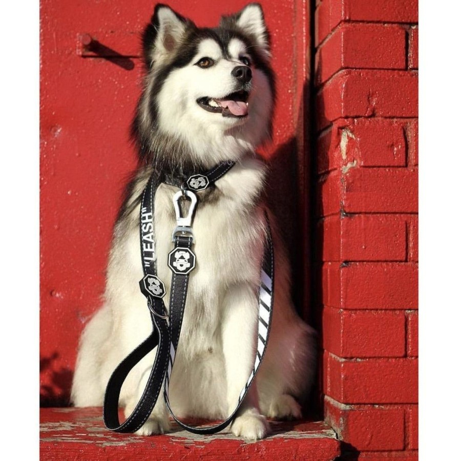 Leashes & Collars Fresh Pawz | Quotation Mark | Leash