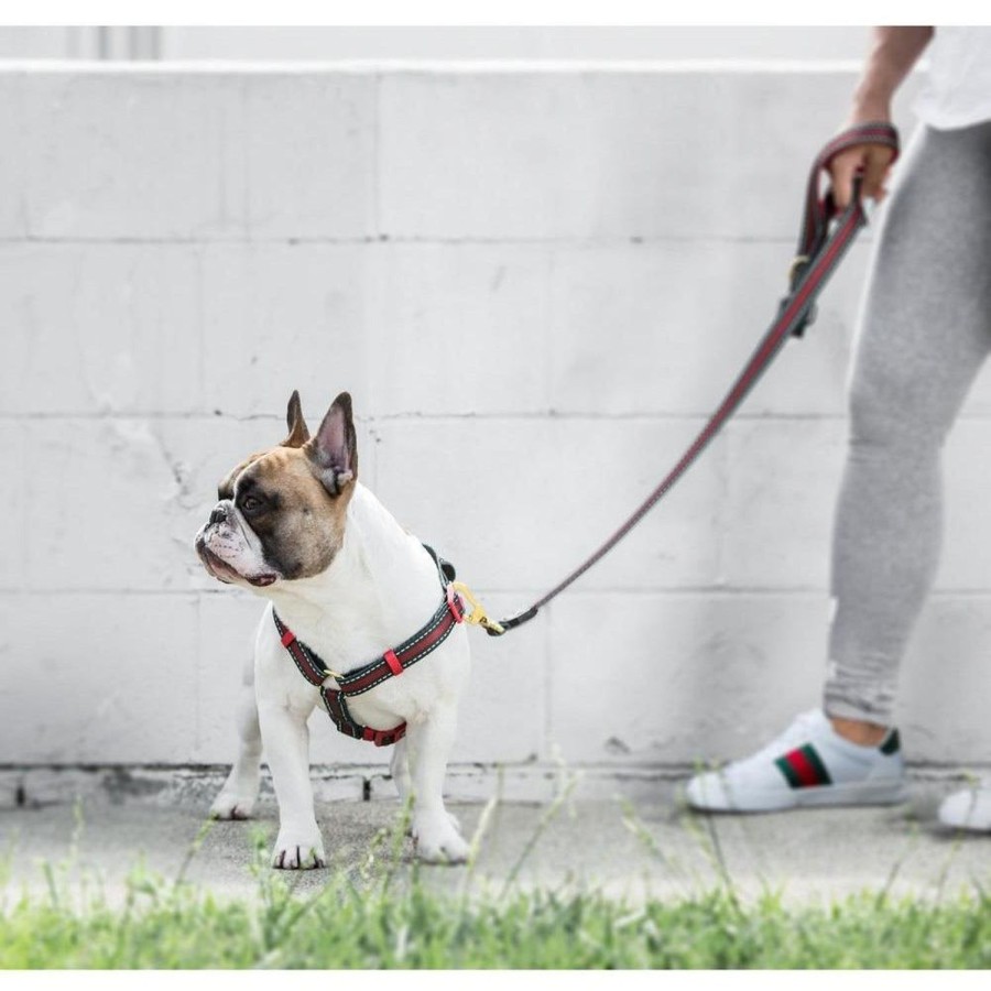 Harnesses Fresh Pawz | G-Stripe | H-Harness