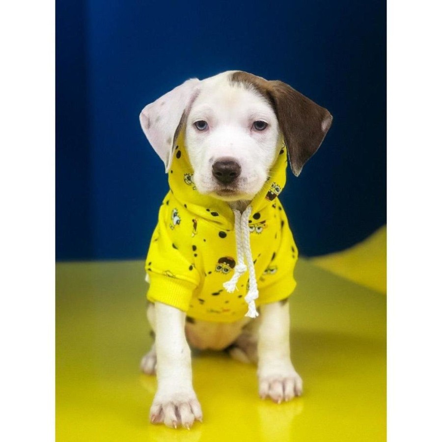 Dog Clothing Fresh Pawz | Spongebob X Fresh Pawz - Sb All Over Hoodie | Dog Clothing