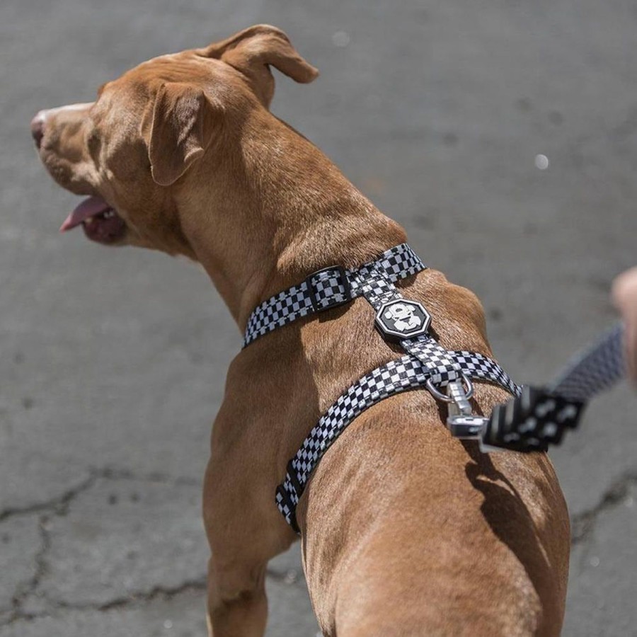 Harnesses Fresh Pawz | Checkerboard | H-Harness