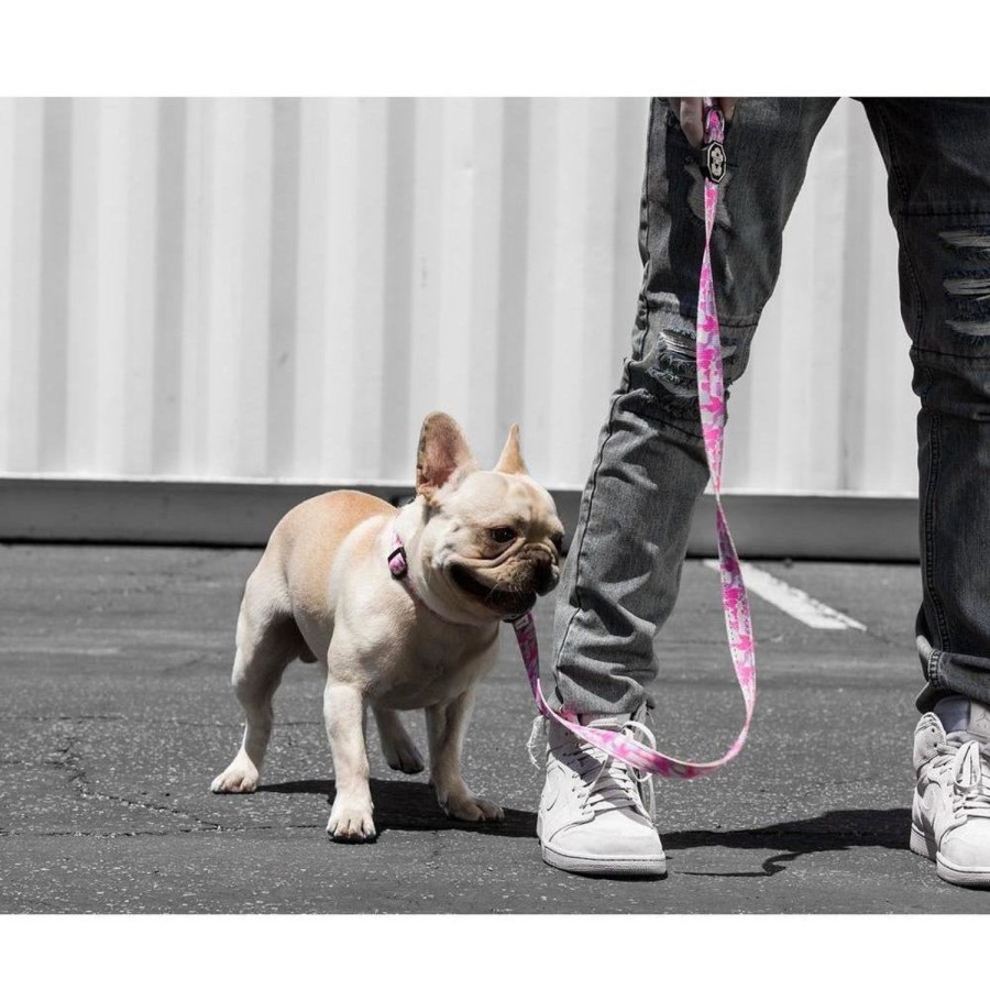 Leashes & Collars Fresh Pawz | Pastel Camo | Leash