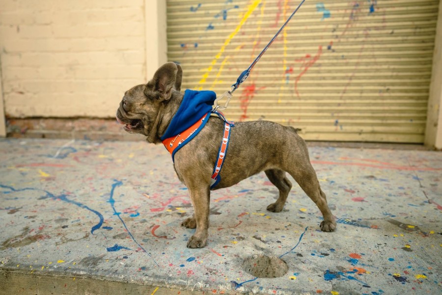 Harnesses Fresh Pawz | Champion X Fresh Pawz | Hoodie Harness