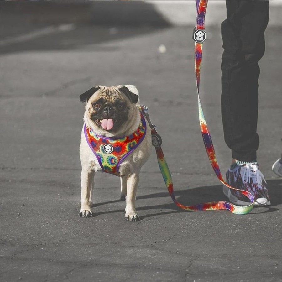 Leashes & Collars Fresh Pawz | Tie-Dye | Leash