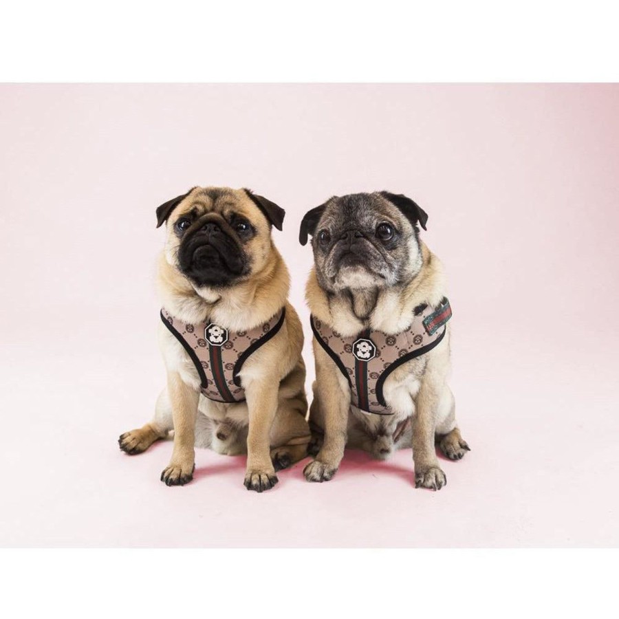 Harnesses Fresh Pawz | G-Pattern | Adjustable Mesh Harness