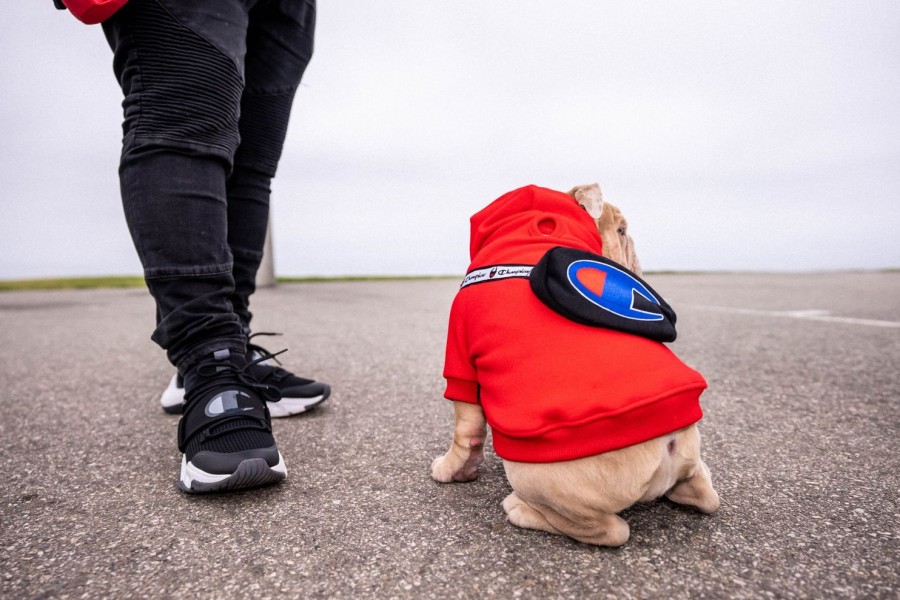 Dog Clothing Fresh Pawz | Champion X Fresh Pawz - Fanny Pack Hoodie | Dog Clothing