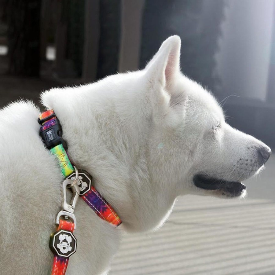 Leashes & Collars Fresh Pawz | Tie-Dye | Collar